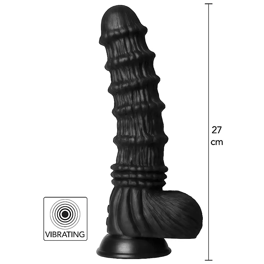 Image du produit suivant