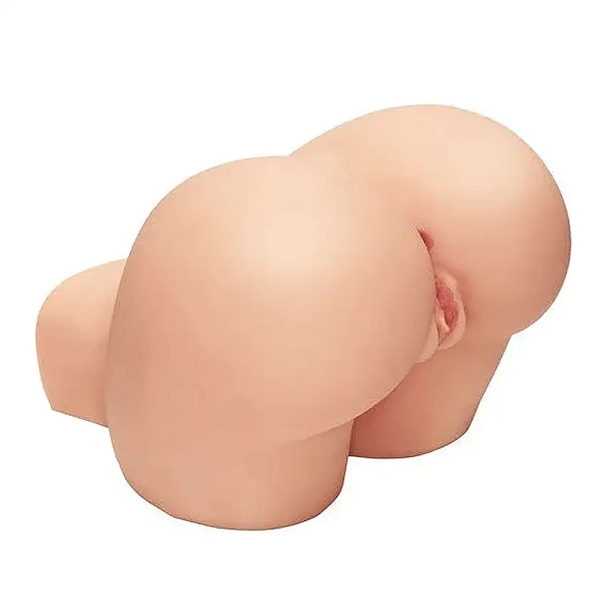 Image du produit précédent