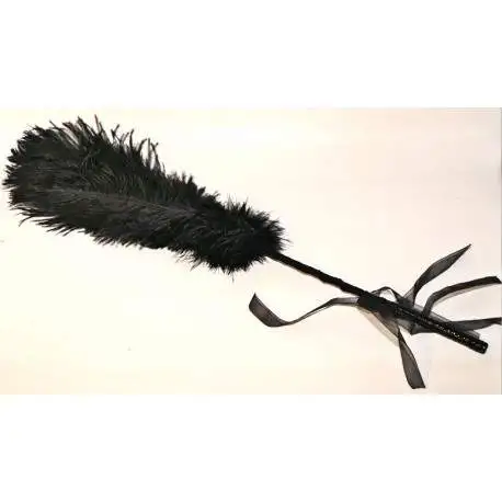 Image du produit précédent
