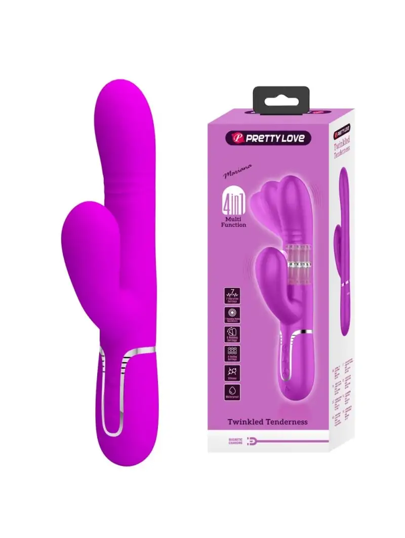 Image du produit
